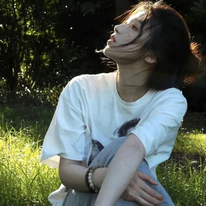 春情妃子